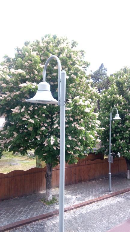 California Guest House Гори Экстерьер фото